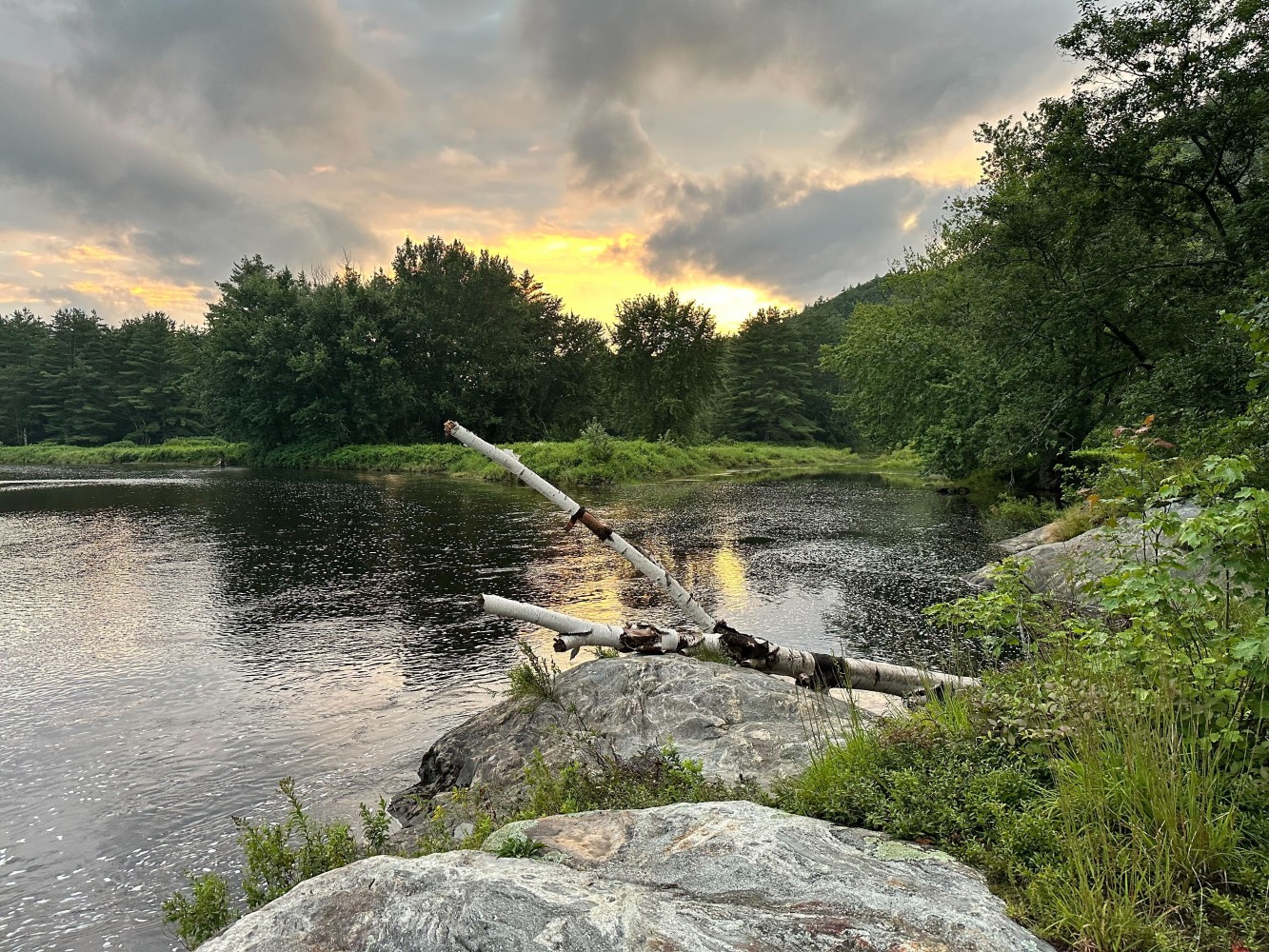 Image of rocks and a dead tree hanging over the Androscoggin River in Gilead Maine